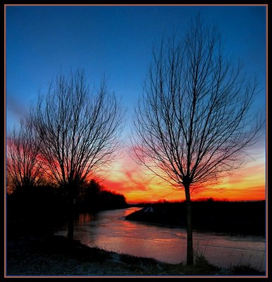 Red Ice and Tree in silhouette