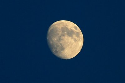 Moon