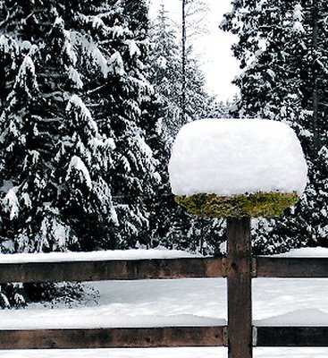 SNOW CAKE Birdbath