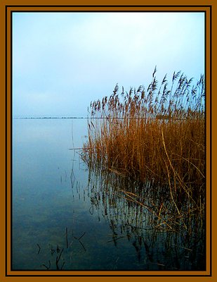 Reedreflection III