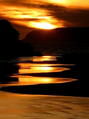Golden Moment