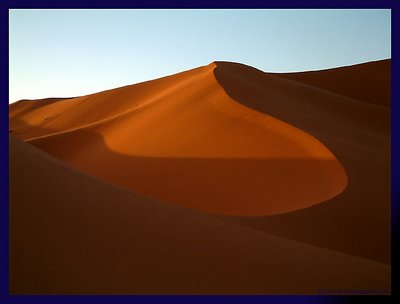 Saharan sands I