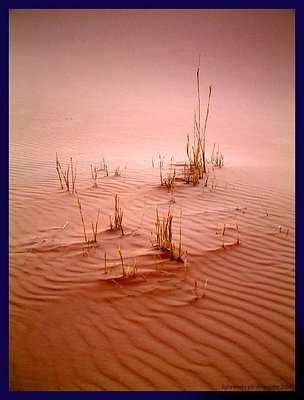 Saharan Sands II