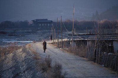 Frosty Morning, Paro. Bhutan