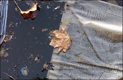 Trash and Leaf