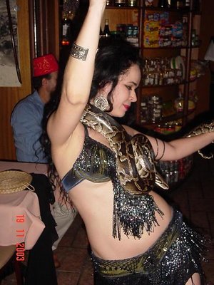 Belly Dancer and the Snake