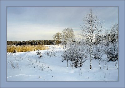 Winter morning