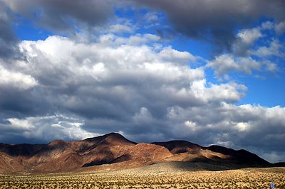 Mojave Desert ( Part I)