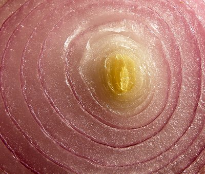 Natural abstracts: onion