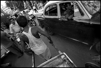 The Horse Man - Calcutta