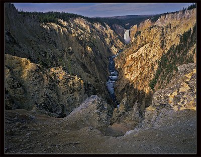 Canyon of Yellowstone