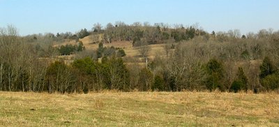 Over the tree line