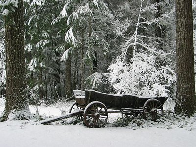 Wagon in the Snow