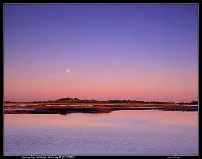 Cedar Key Moonrise