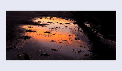 autumn ground
