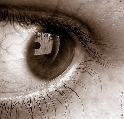 In the EYE