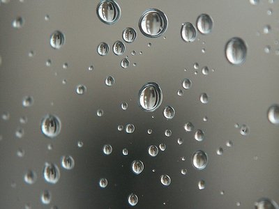 rain drops