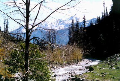 Kothi - Himachal Pradesh, India