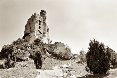 Mirów Castle - Poland