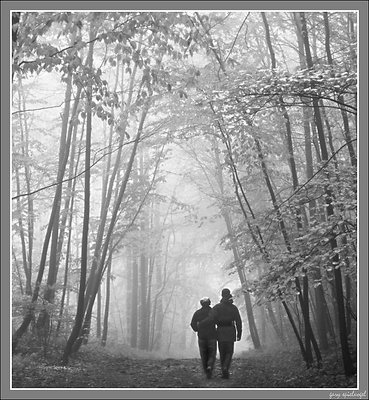 Canopy Walkers