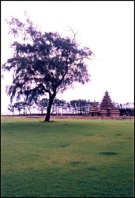 The Temple