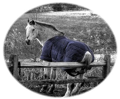 Taking a Break