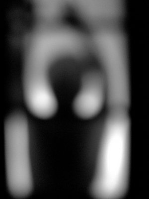 ḞṡḞ