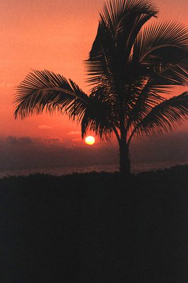 Sunset in Paradise