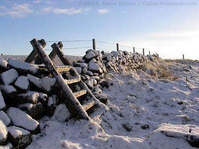 Snowy Stile