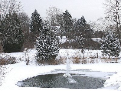 'the little frozen pond'