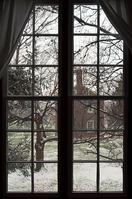 Window View