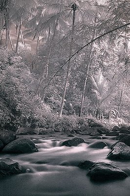 Mystical Creek