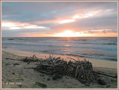 BEACH HOUSE