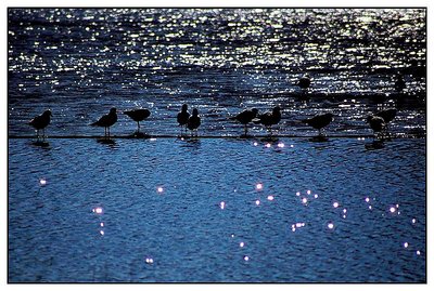 Shadow on ice