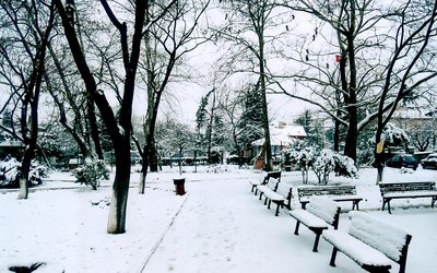 spending a cold and snowy winter day by sitting in a park