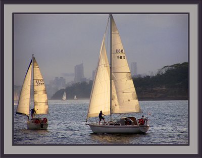 Yachts on Sydney Harbour