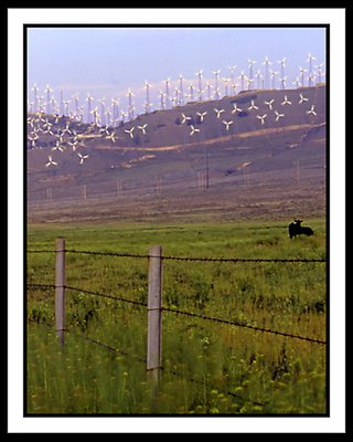 Tehachapi windmills