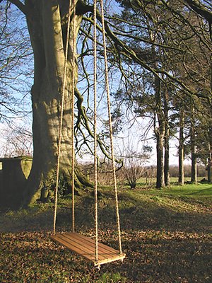 winter swing