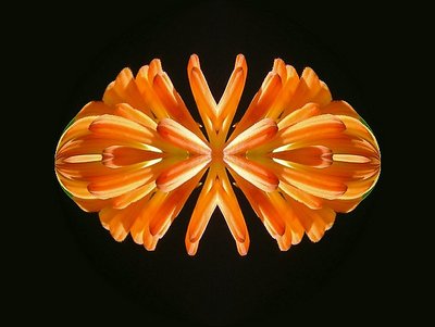 Created Flower