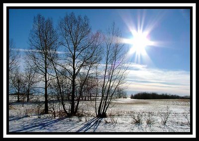 Winter in Rural Calgary, Sub Zero Weather, Alberta, Canada.