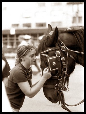 horse