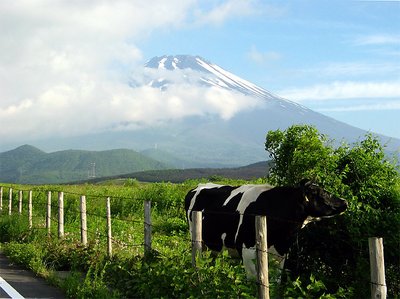 Pastoral Mountain