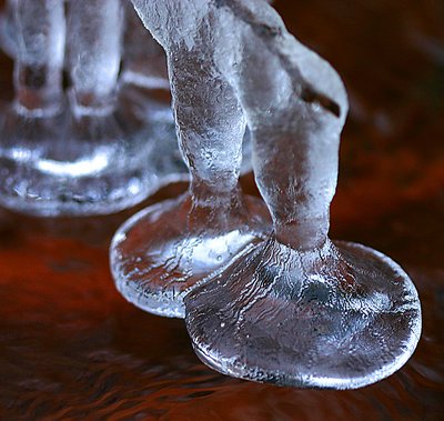 Icebells