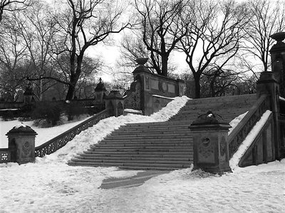 Snow @ Central Park