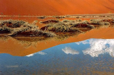 Reflections in the Namib