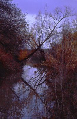 Autumn River 3
