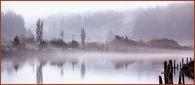 Along the northern river