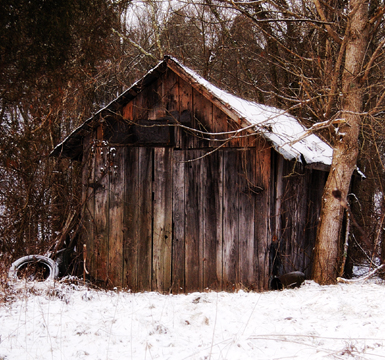 Shed In Snow