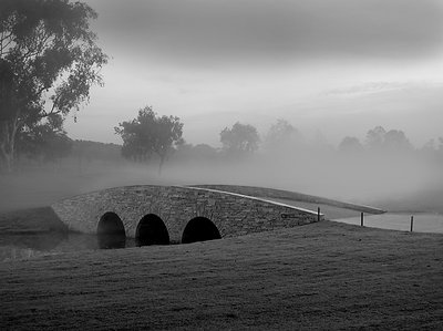 Morning mist