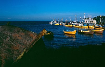 Boats
